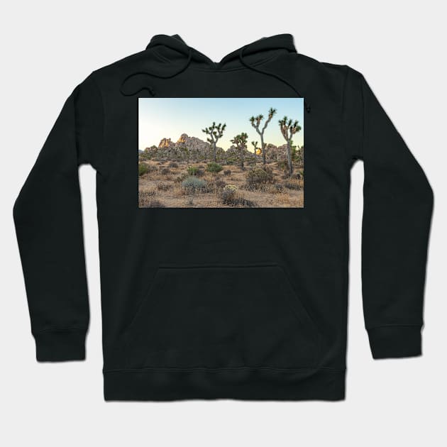 Joshua Tree Morning Hoodie by jvnimages